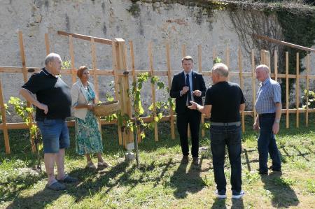 Prva trgatev v samostanu Mekinje (7)